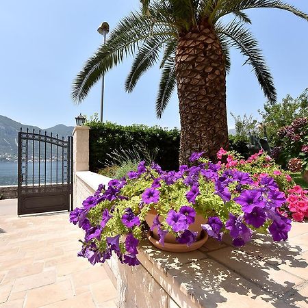 Maniva Penthouse By The Sea Apartment Kotor Exterior photo