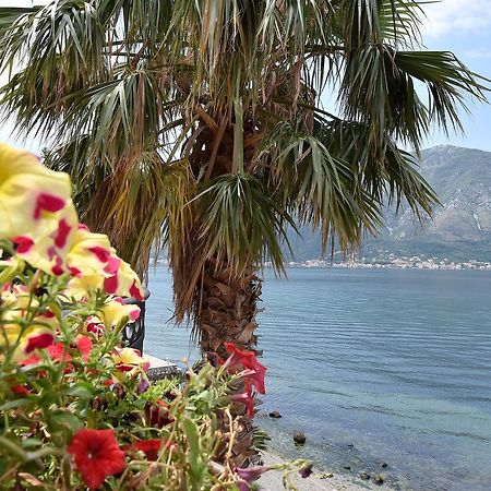 Maniva Penthouse By The Sea Apartment Kotor Exterior photo